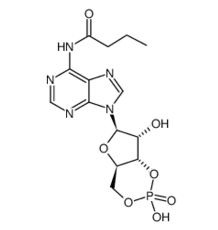 13117-60-7 , monobutyryl cyclic AMP, N6-單丁酰基腺苷-3,5-環單磷酸, CAS:13117-60-7